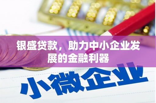 湘西银盛贷款，助力中小企业发展的金融利器
