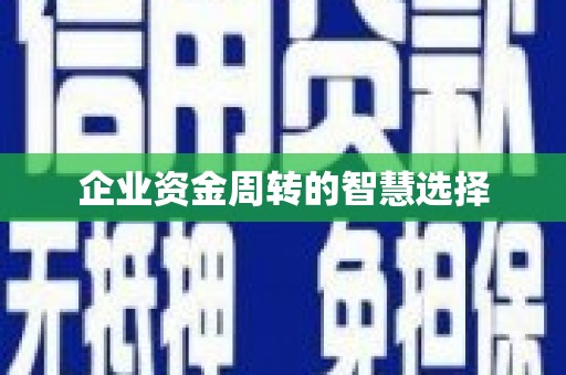 湘西企业资金周转的智慧选择