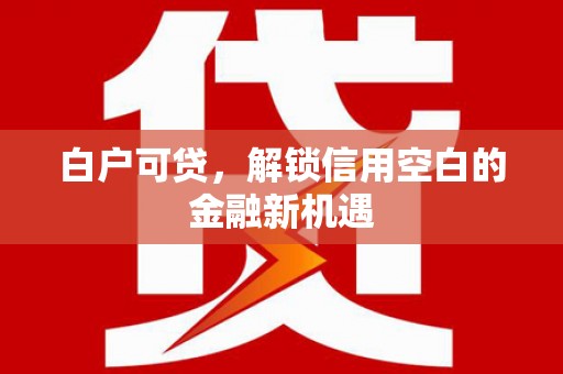 湘西白户可贷，解锁信用空白的金融新机遇