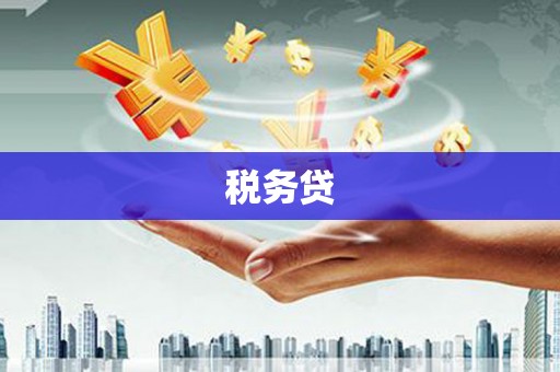 湘西税务贷