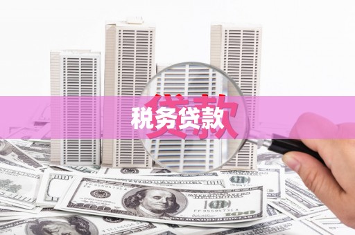 湘西税务贷款