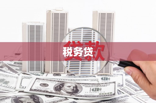 湘西税务贷