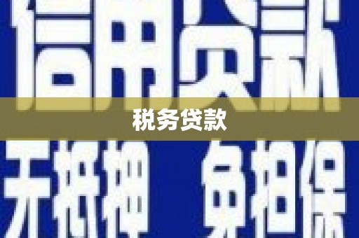 湘西税务贷款