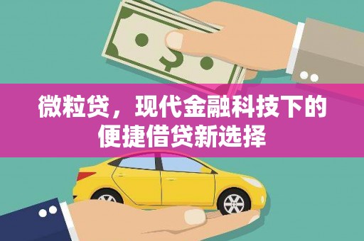 湘西微粒贷，现代金融科技下的便捷借贷新选择