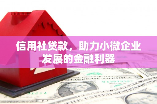 湘西信用社贷款，助力小微企业发展的金融利器