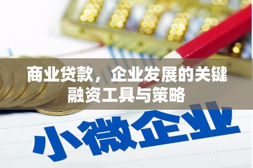 湘西商业贷款，企业发展的关键融资工具与策略