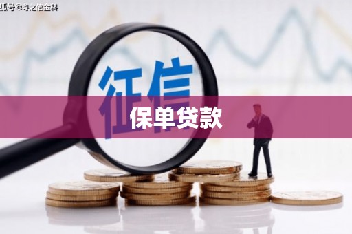 湘西保单贷款