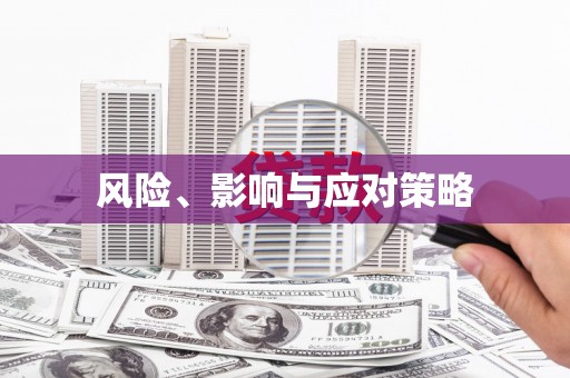 湘西风险、影响与应对策略