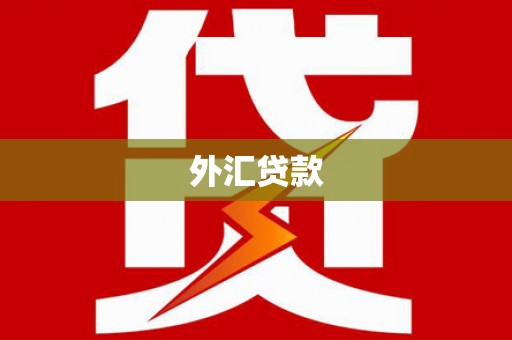 湘西外汇贷款
