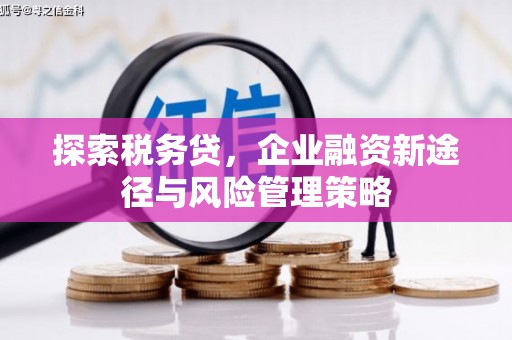 湘西探索税务贷，企业融资新途径与风险管理策略