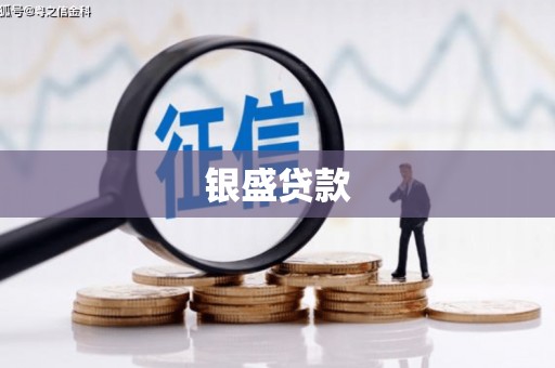 湘西银盛贷款