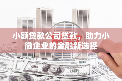 湘西小额贷款公司贷款，助力小微企业的金融新选择