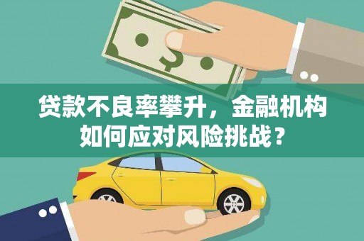 湘西贷款不良率攀升，金融机构如何应对风险挑战？