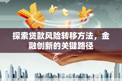 湘西探索贷款风险转移方法，金融创新的关键路径