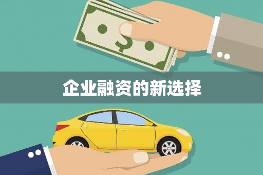 湘西企业融资的新选择