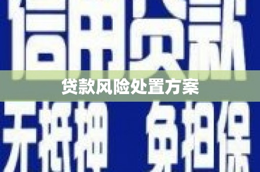 湘西贷款风险处置方案