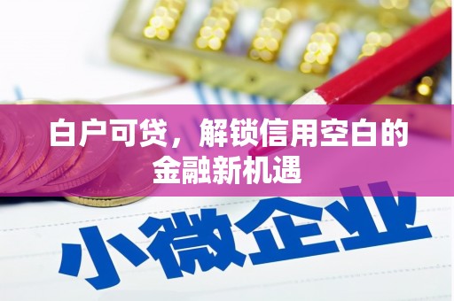 湘西白户可贷，解锁信用空白的金融新机遇