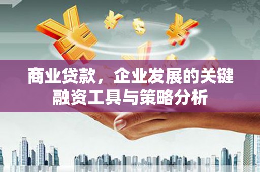 湘西商业贷款，企业发展的关键融资工具与策略分析