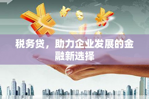 湘西税务贷，助力企业发展的金融新选择