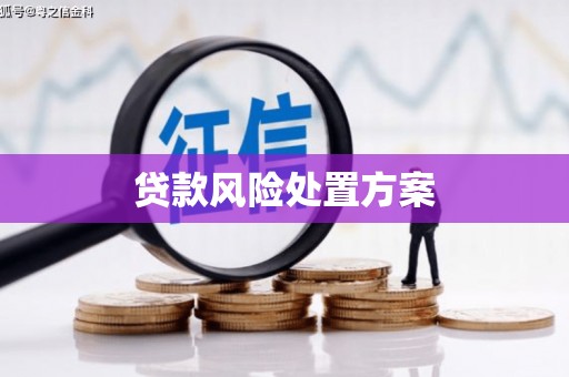 湘西贷款风险处置方案