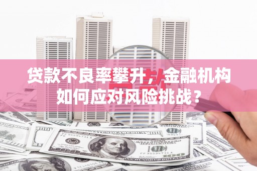 湘西贷款不良率攀升，金融机构如何应对风险挑战？