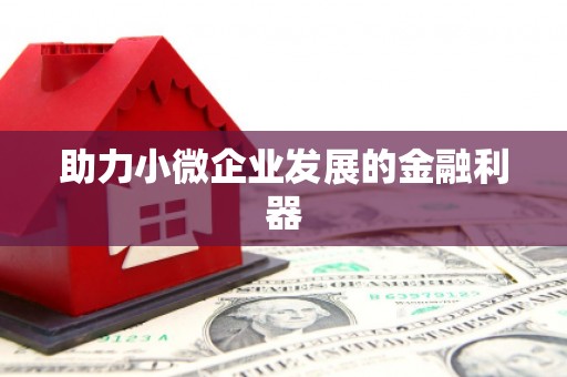湘西助力小微企业发展的金融利器