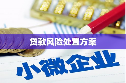 湘西贷款风险处置方案