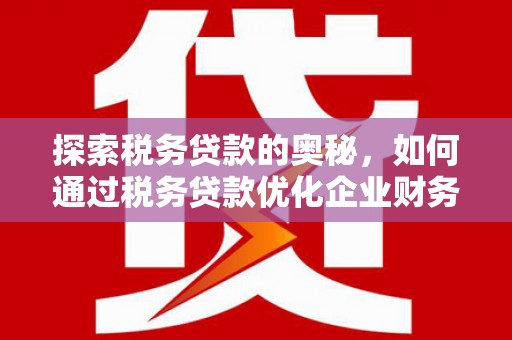 湘西探索税务贷款的奥秘，如何通过税务贷款优化企业财务