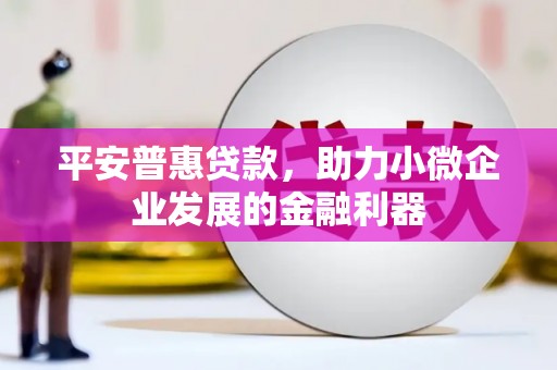 湘西平安普惠贷款，助力小微企业发展的金融利器