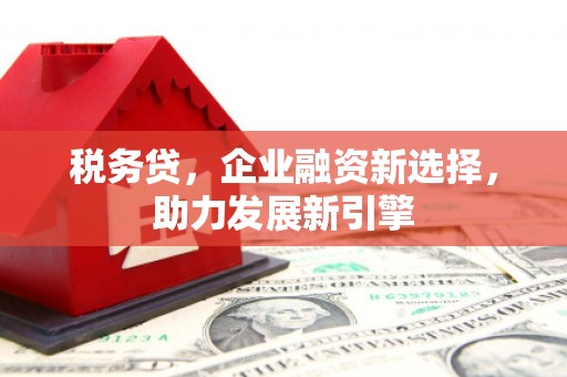 湘西税务贷，企业融资新选择，助力发展新引擎