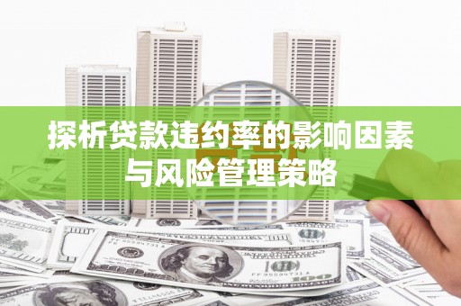 湘西探析贷款违约率的影响因素与风险管理策略