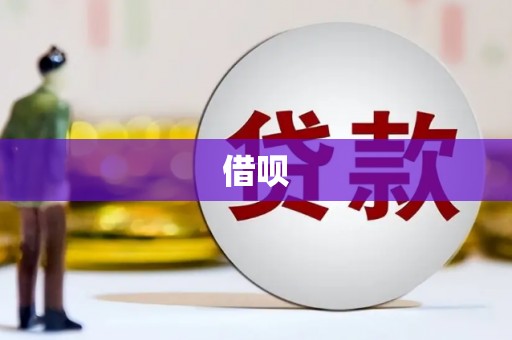 湘西借呗
