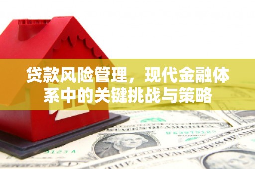 湘西贷款风险管理，现代金融体系中的关键挑战与策略