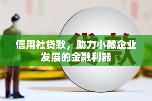 湘西信用社贷款，助力小微企业发展的金融利器