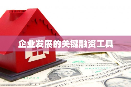 湘西企业发展的关键融资工具