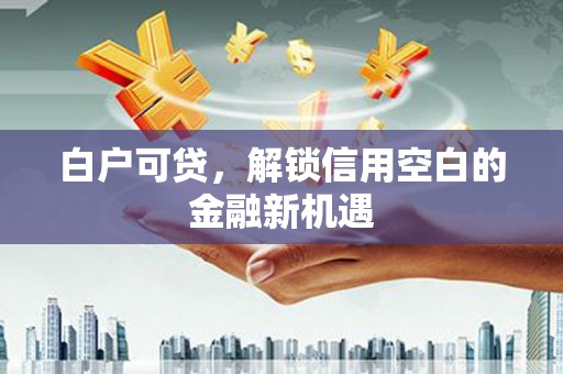 湘西白户可贷，解锁信用空白的金融新机遇
