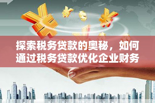 湘西探索税务贷款的奥秘，如何通过税务贷款优化企业财务