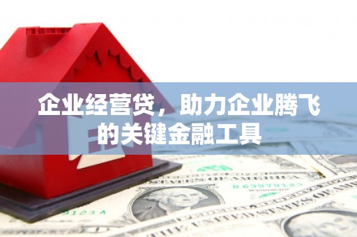 湘西企业经营贷，助力企业腾飞的关键金融工具