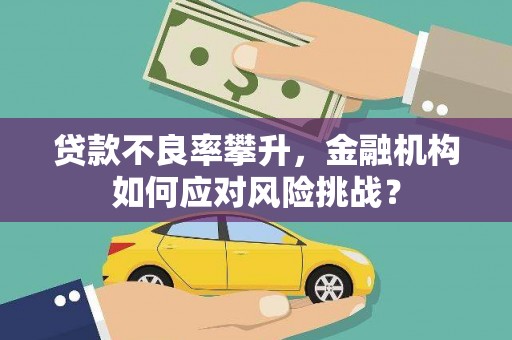 湘西贷款不良率攀升，金融机构如何应对风险挑战？