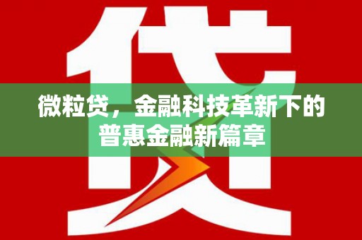 湘西微粒贷，金融科技革新下的普惠金融新篇章