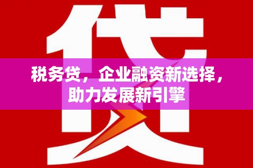 湘西税务贷，企业融资新选择，助力发展新引擎