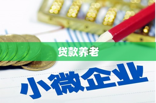 湘西贷款养老