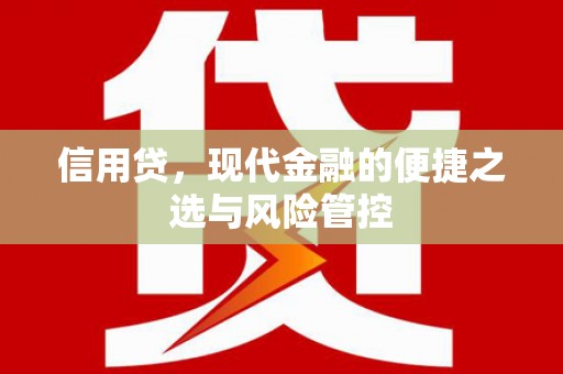 湘西信用贷，现代金融的便捷之选与风险管控