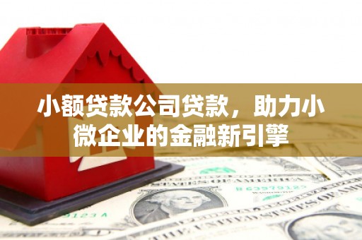 湘西小额贷款公司贷款，助力小微企业的金融新引擎