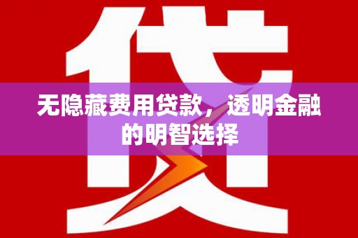 湘西无隐藏费用贷款，透明金融的明智选择