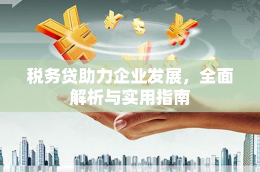 湘西税务贷助力企业发展，全面解析与实用指南