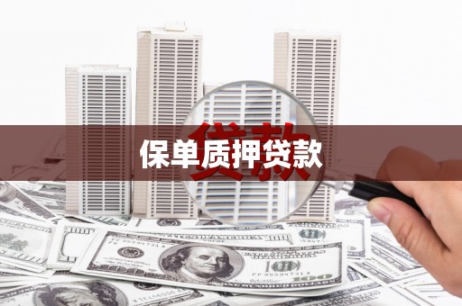 湘西保单质押贷款