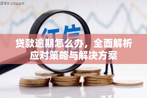 湘西贷款逾期怎么办，全面解析应对策略与解决方案