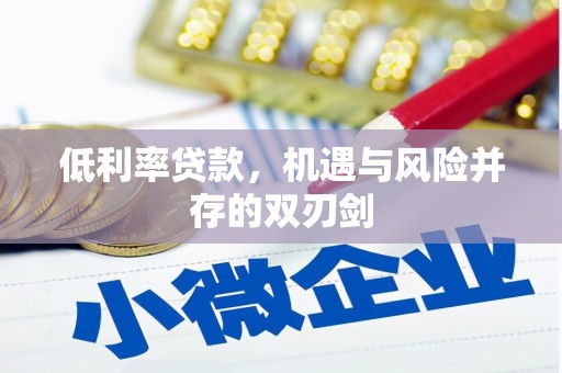 湘西低利率贷款，机遇与风险并存的双刃剑