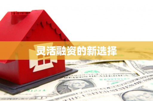 湘西灵活融资的新选择